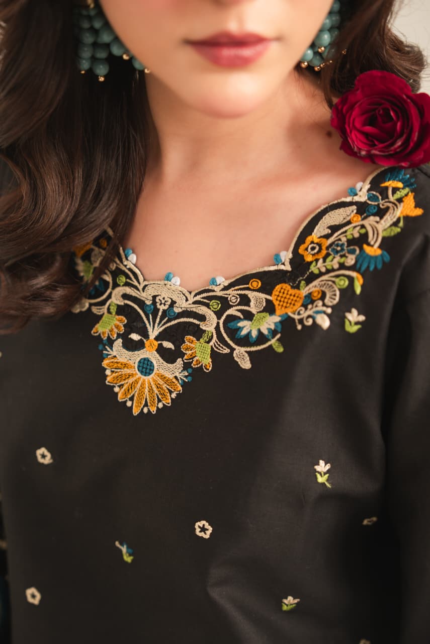 ANCHAL EMB 2PC
