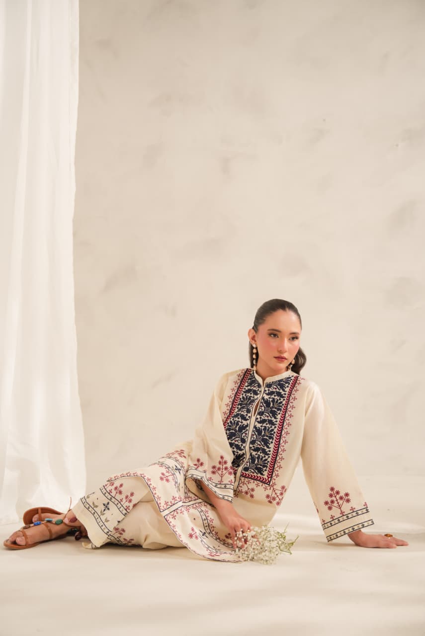 DILRUBA EMB 2PC